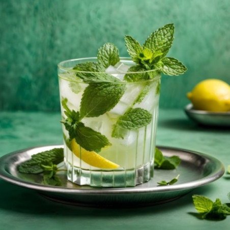 Klassischer Mojito