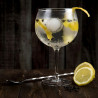 Gin tonic